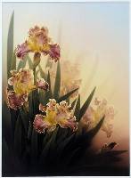 Irises (Jenni Horsnell) 2nd In Section